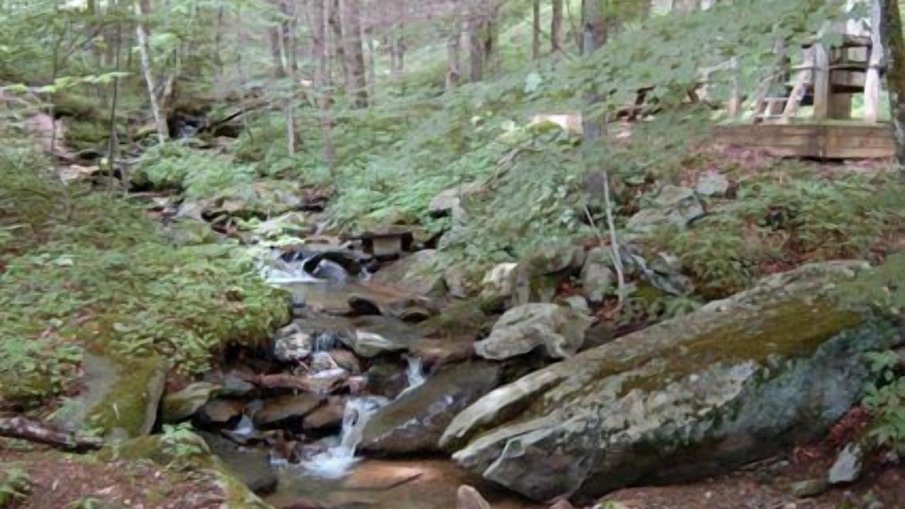 Photo of Outdoor in Sugar Mountain