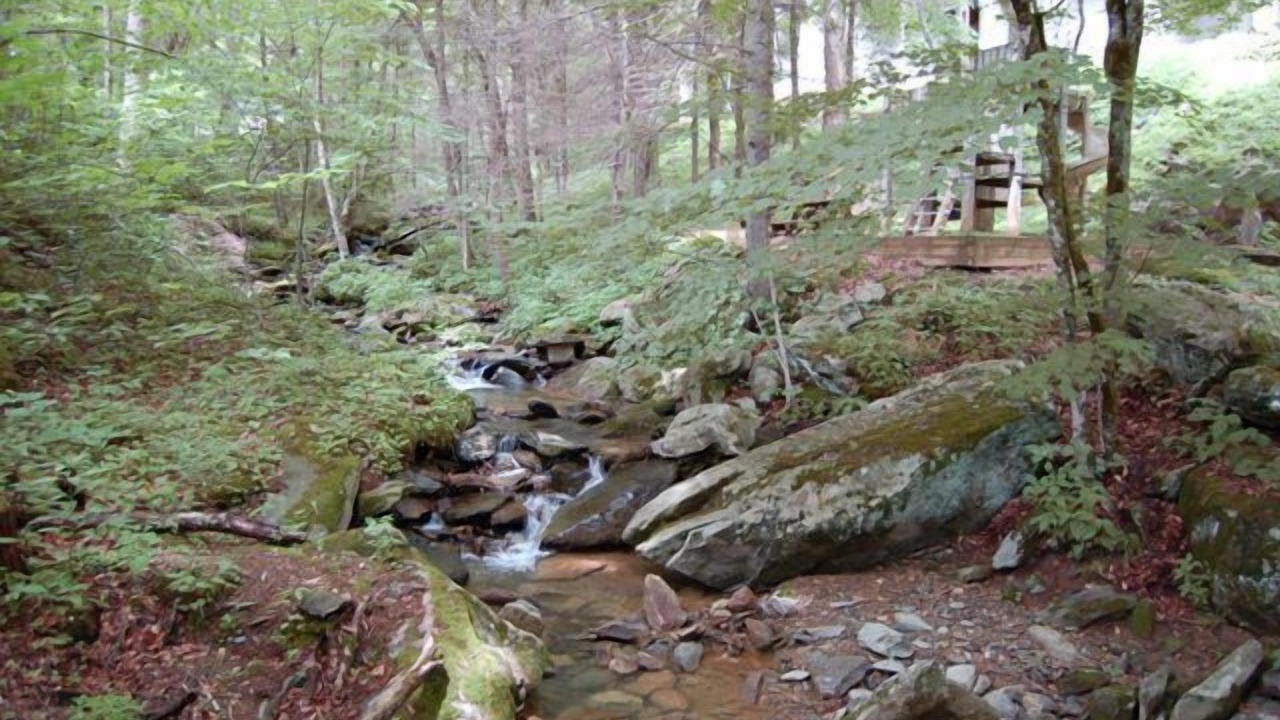 Photo of Outdoor in Sugar Mountain