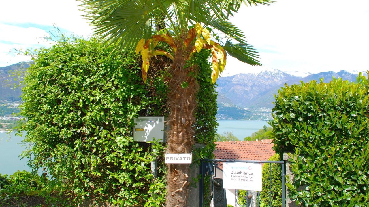 Photo of Others in San Nazzaro
