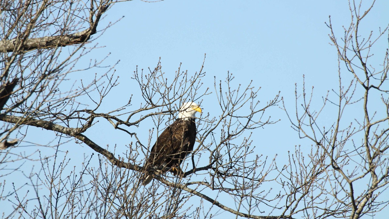 Photo of Others in Cotter
