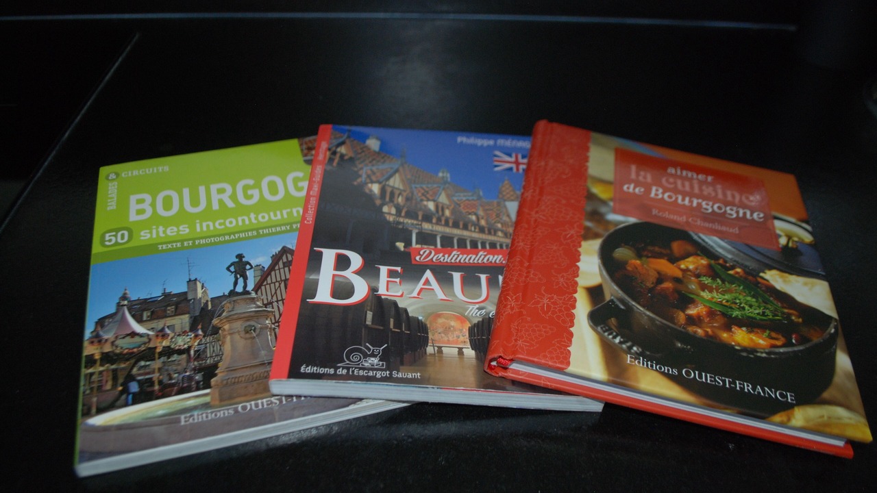 Photo of Others in Beaune City Centre