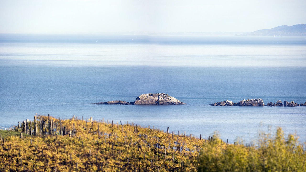 Photo of Others in Zarautz