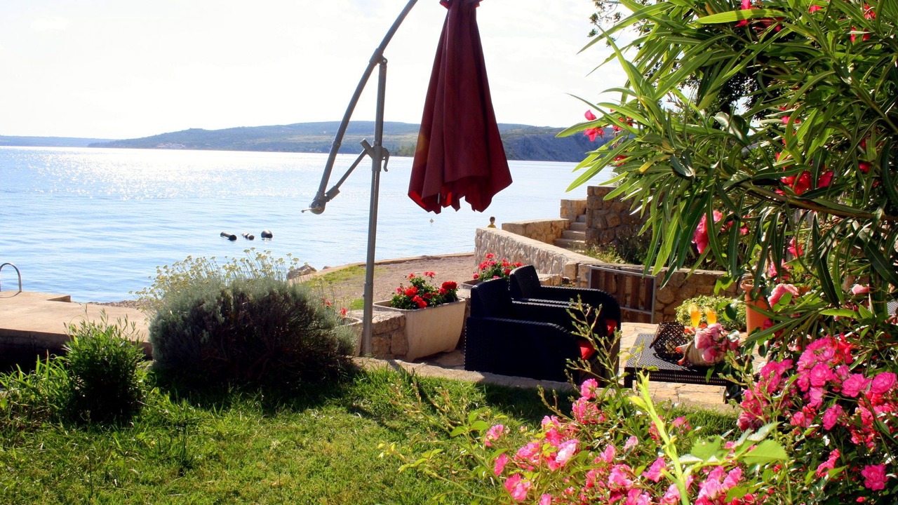 Photo of Outdoor in Maslenica