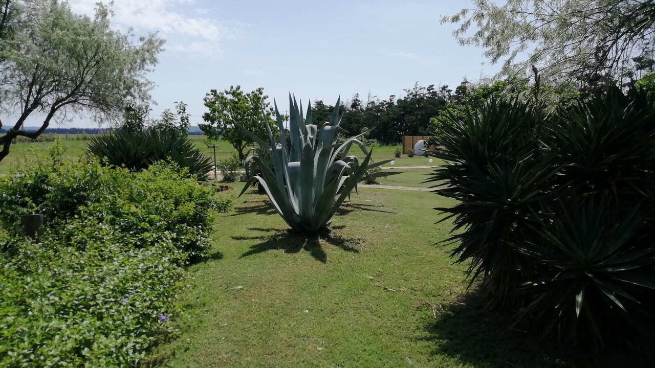 Photo of Outdoor in Tarascon