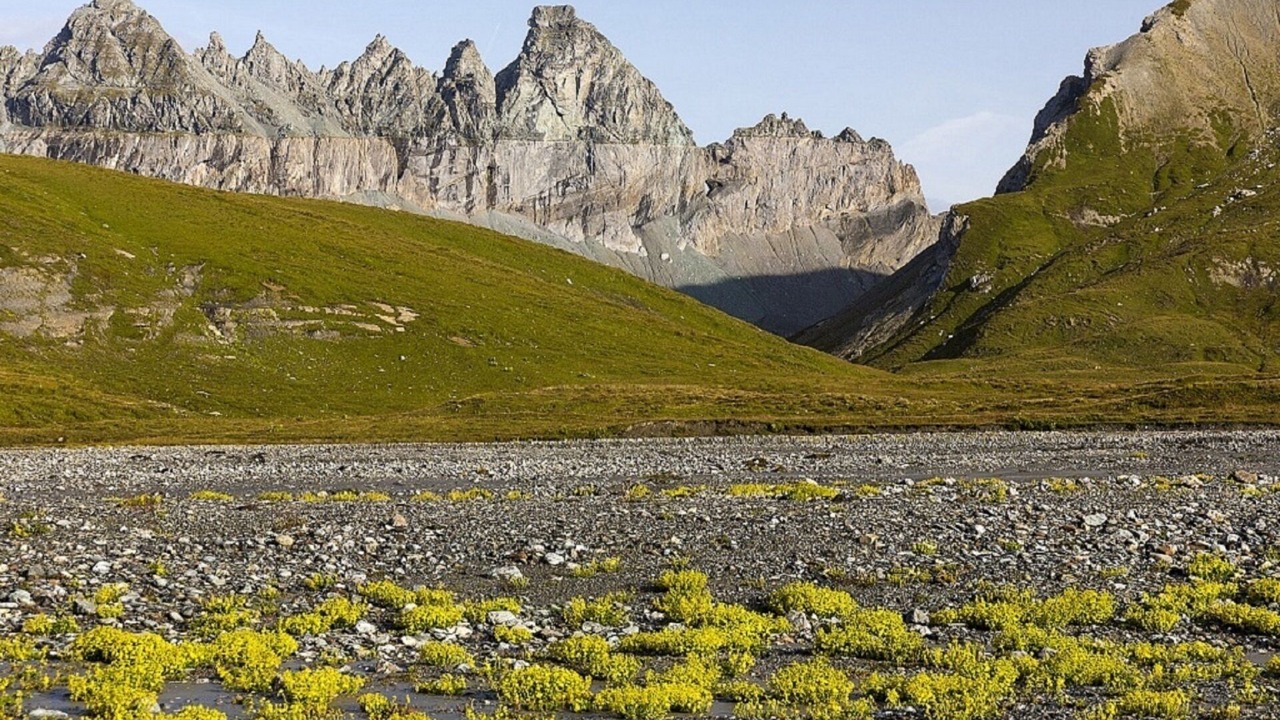 Photo of Outdoor in Flims