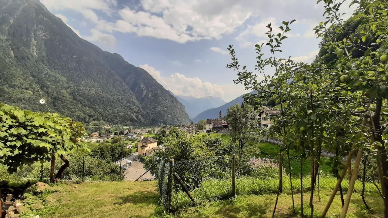 Photo of Others in Negrentino