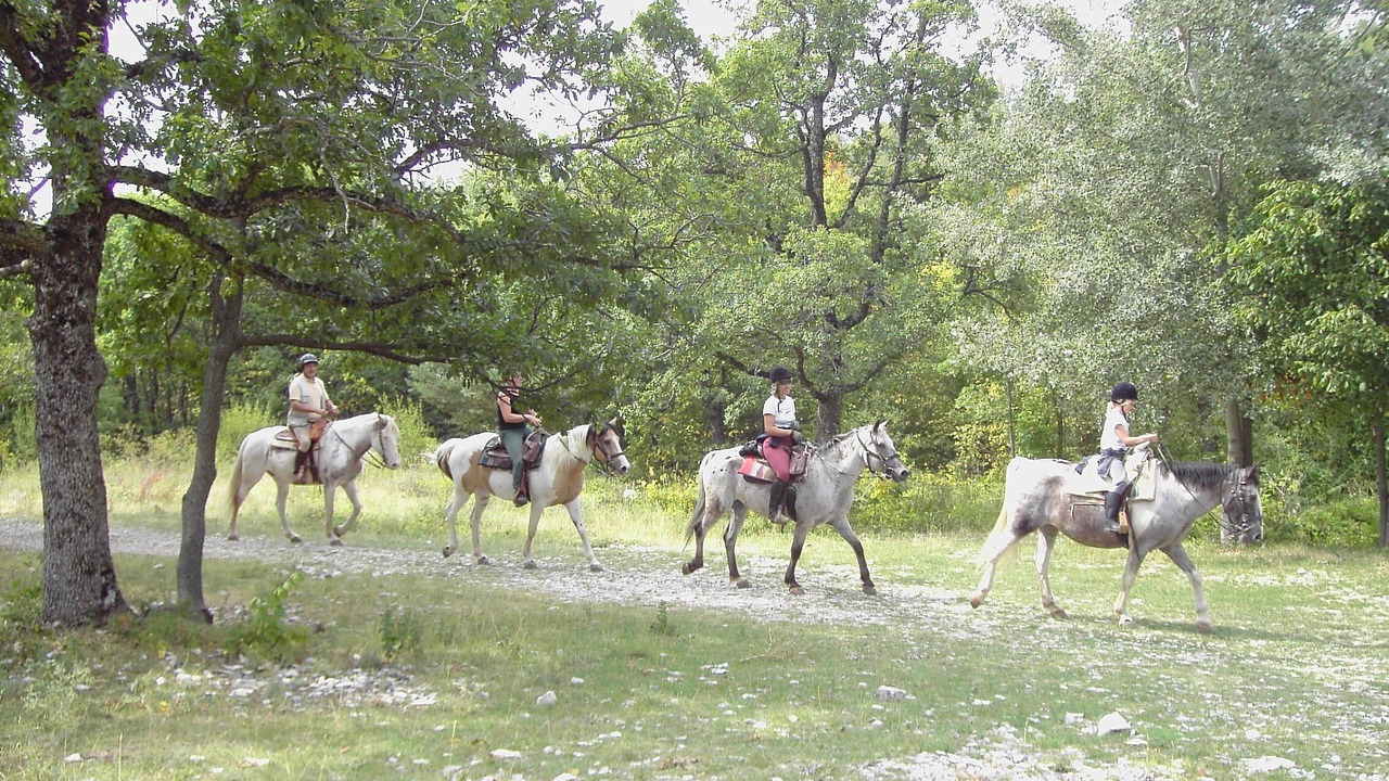 Photo of Outdoor in Cruis