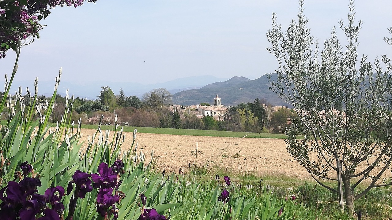 Photo of Outdoor in Cruis