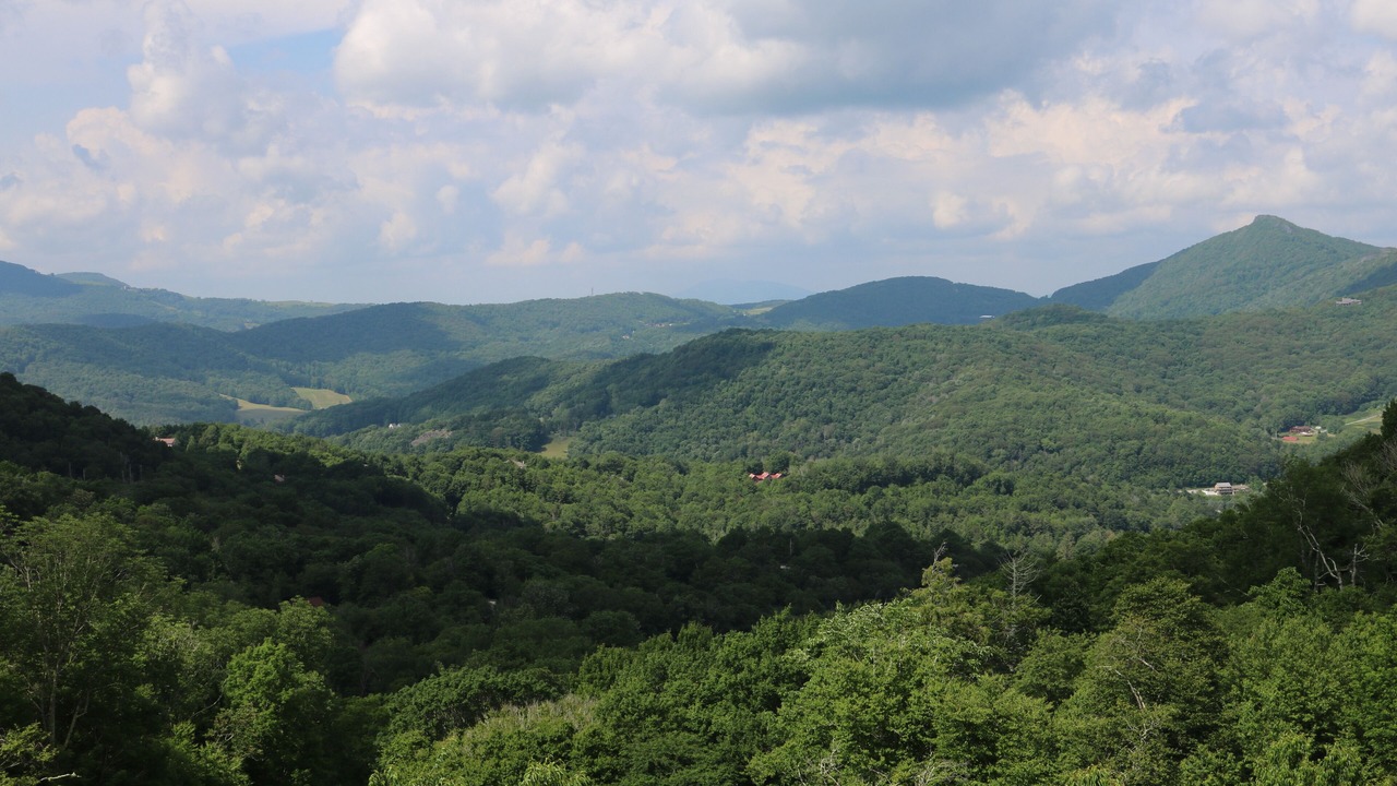 Photo of Others in Sugar Mountain