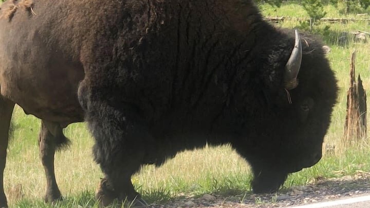 Photo of Others in Sturgis