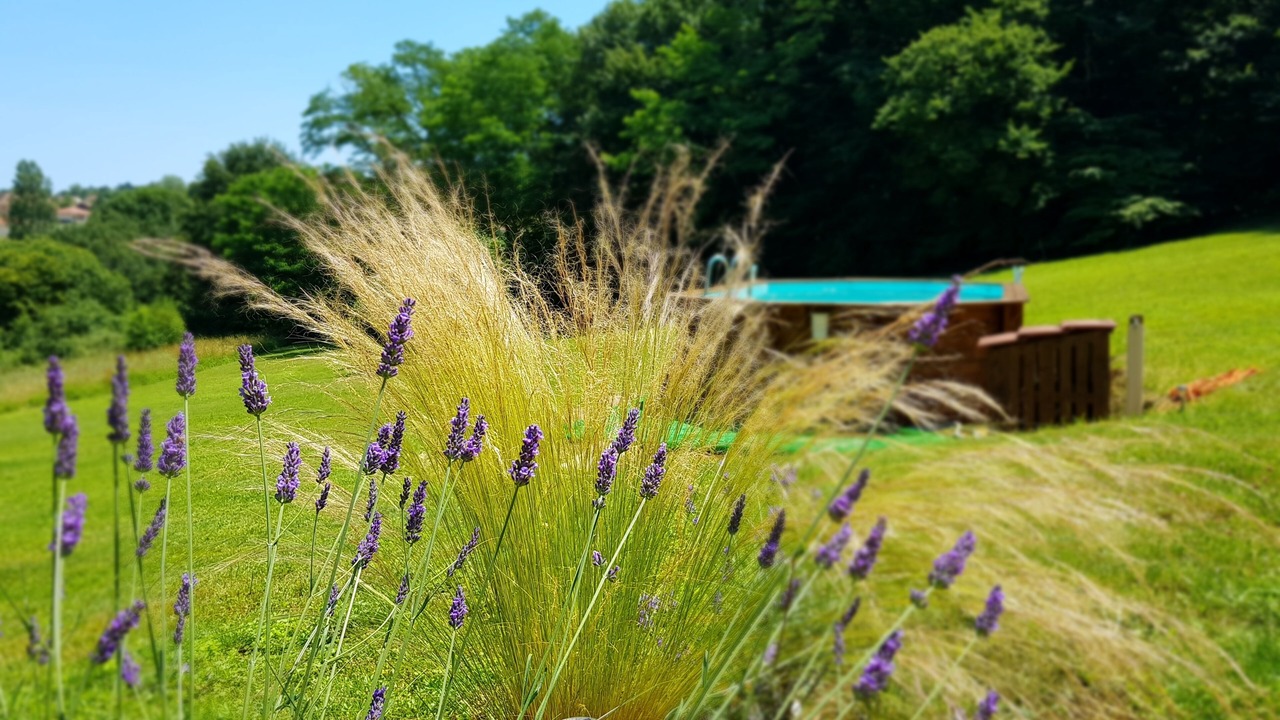 Photo of Outdoor in Payrac