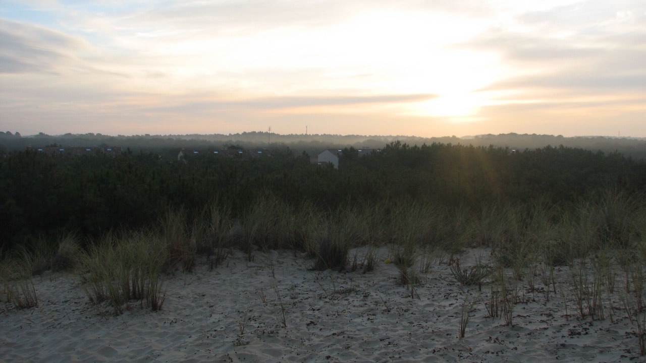 Photo of Outdoor in Carcans Plage