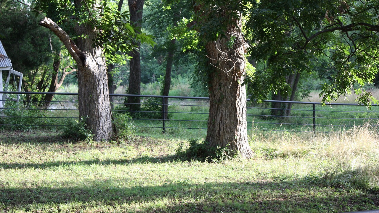 Photo of Outdoor in Weatherford