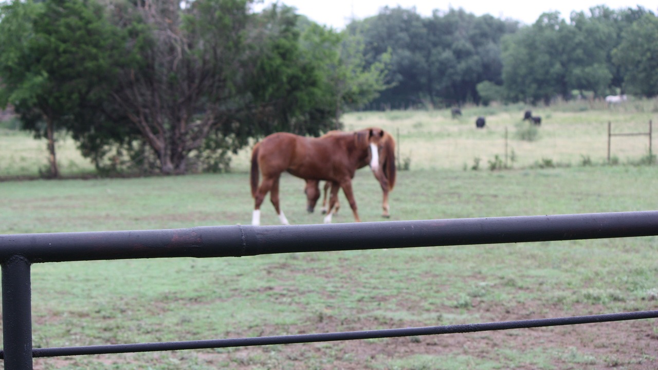 Photo of Others in Weatherford