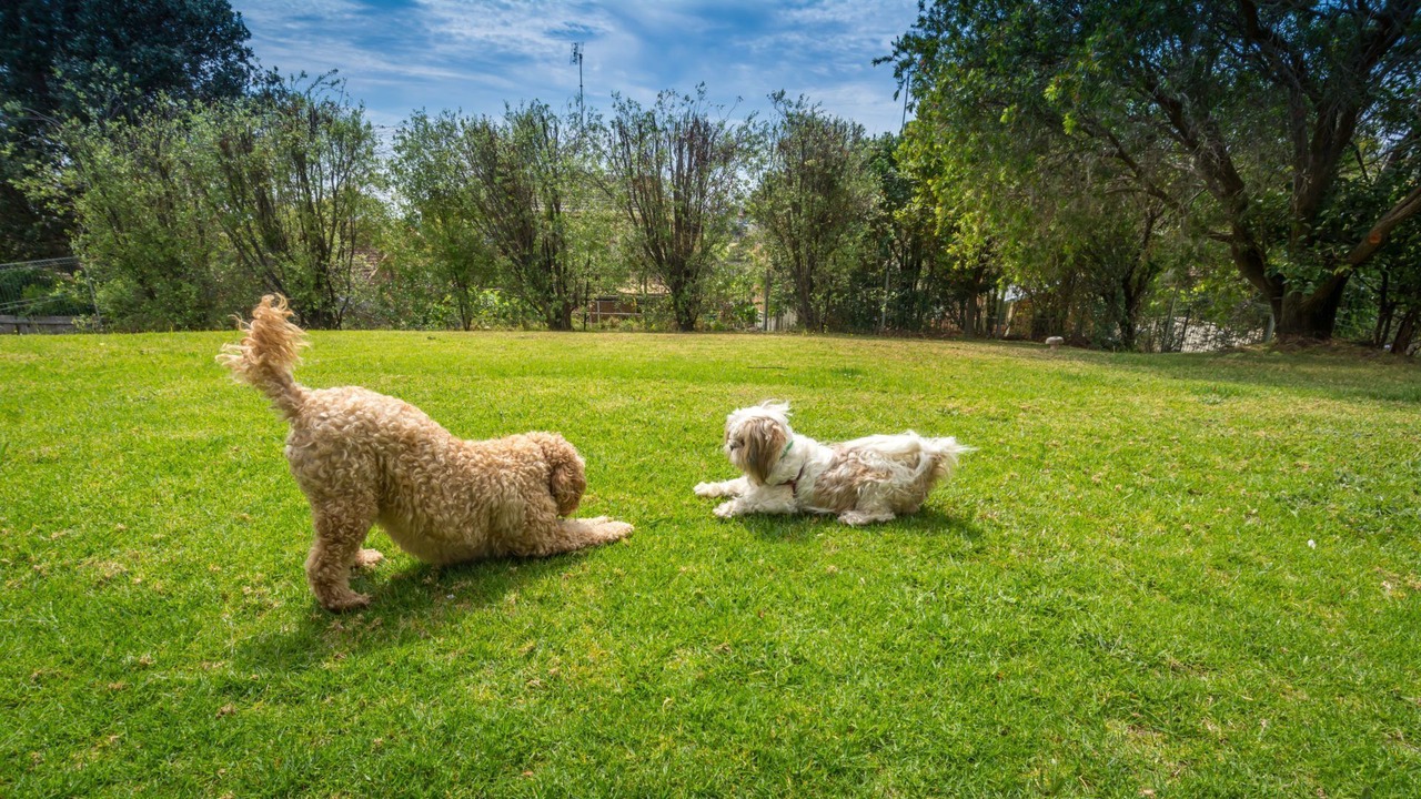Photo of Outdoor in Gerringong
