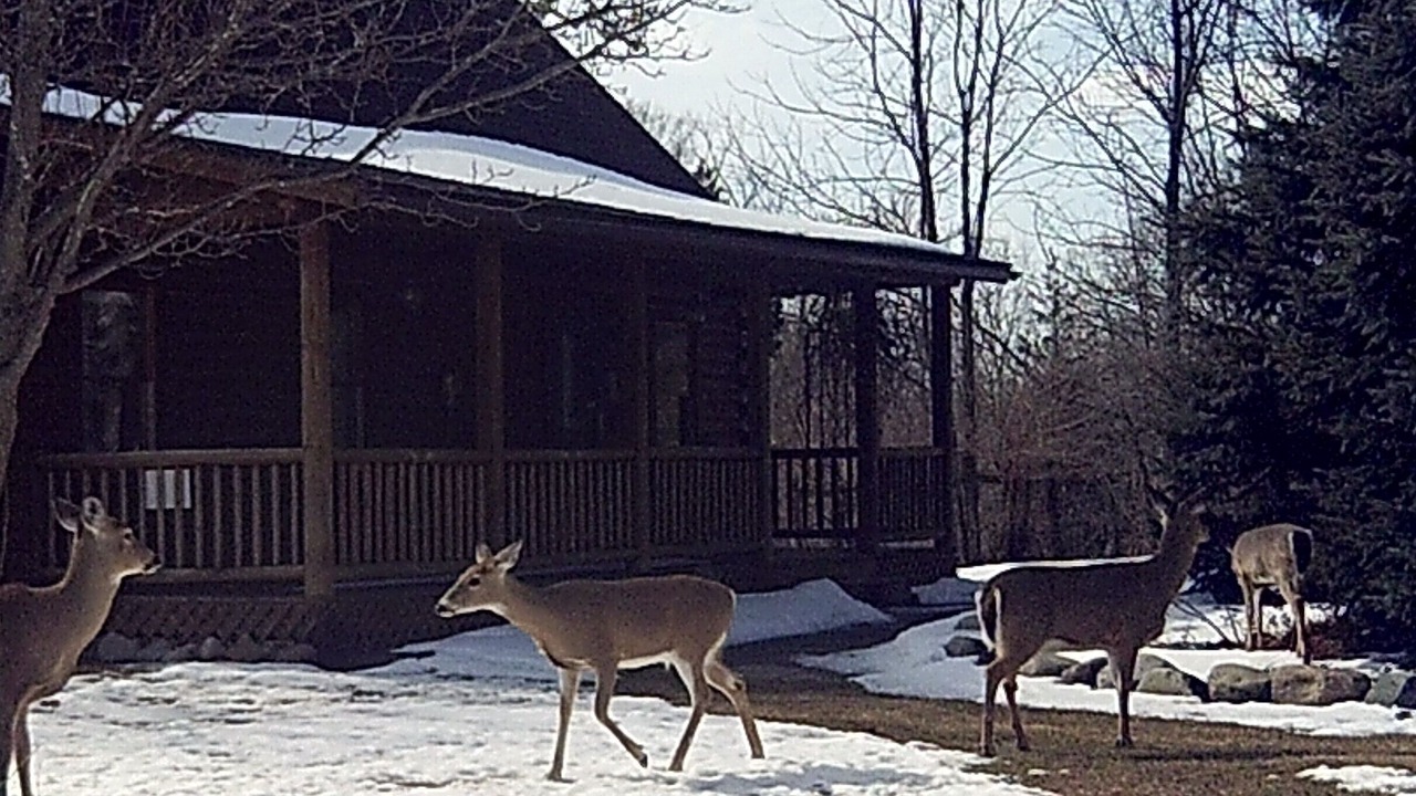 Photo of Outdoor in Fulton