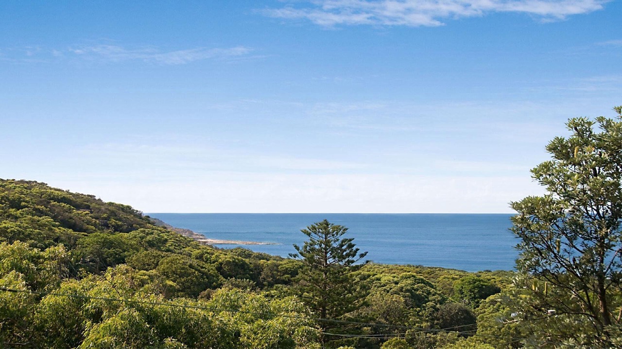 Photo of Others in Hardys Bay