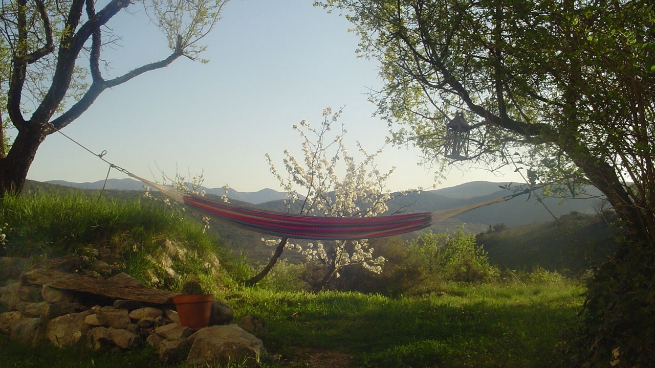 Photo of Outdoor in Brissac