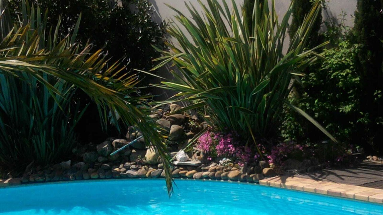 Photo of Outdoor in Biscarrosse