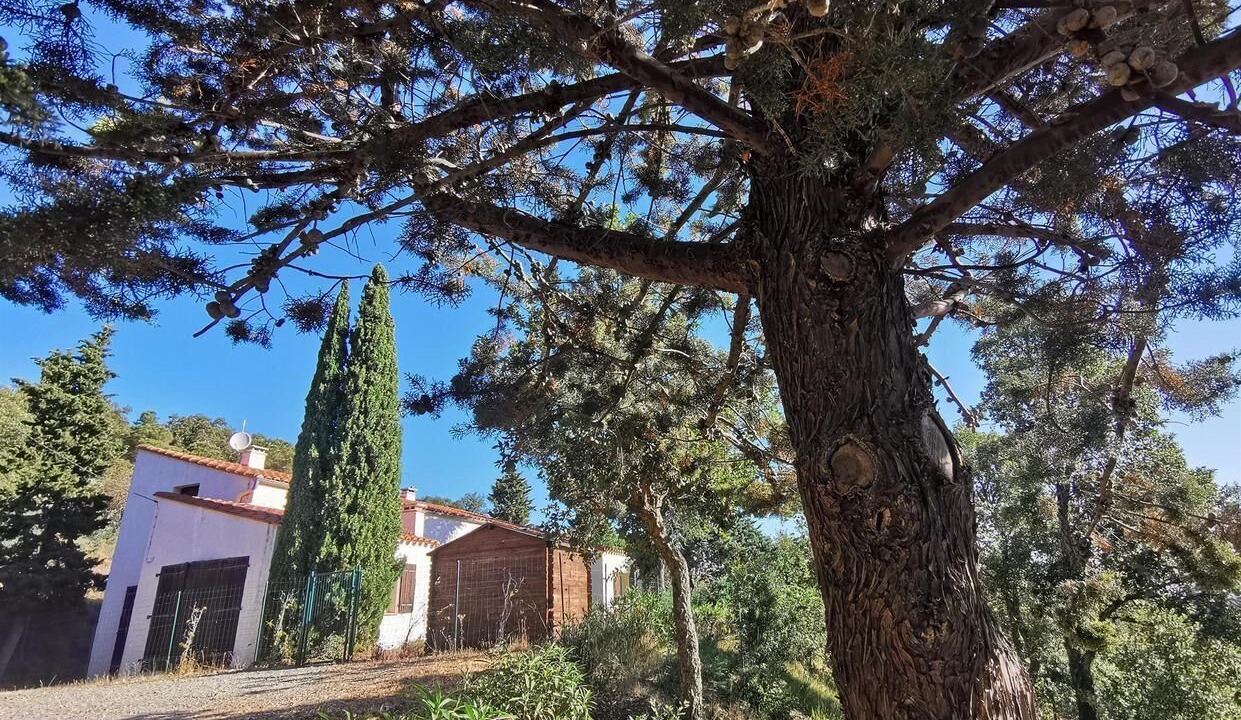 Photo of Outdoor in Montesquieu-des-Alberes