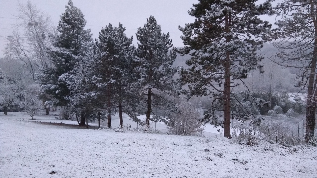 Photo of Outdoor in Rhuis