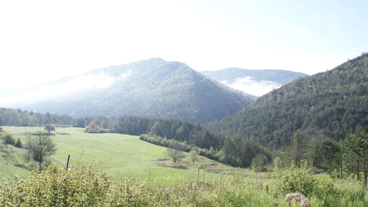 Photo of Outdoor in Saint-Pierre
