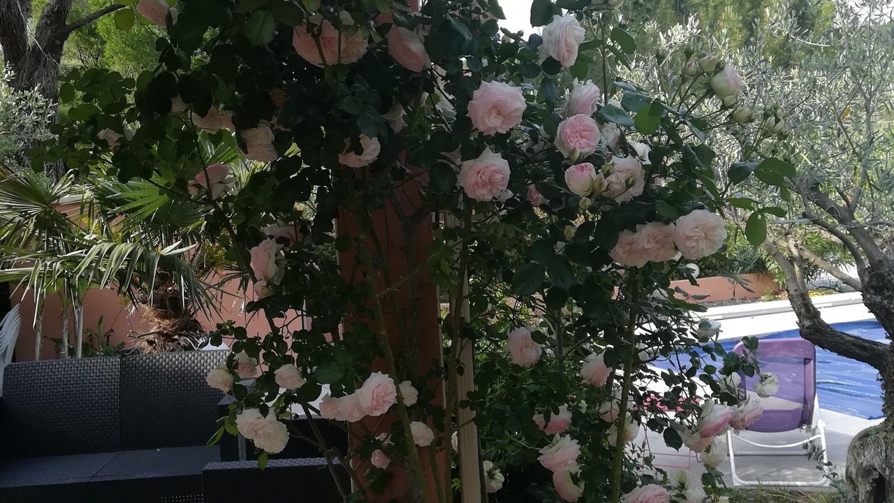 Photo of Patio Balcony in Caveirac