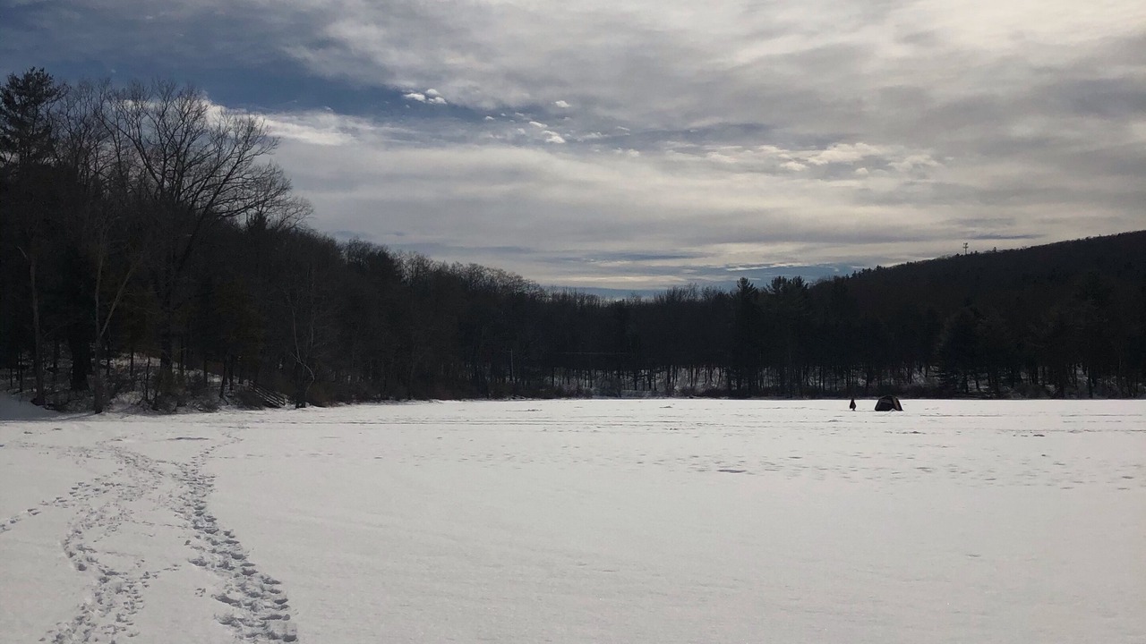 Photo of Outdoor in Maryland