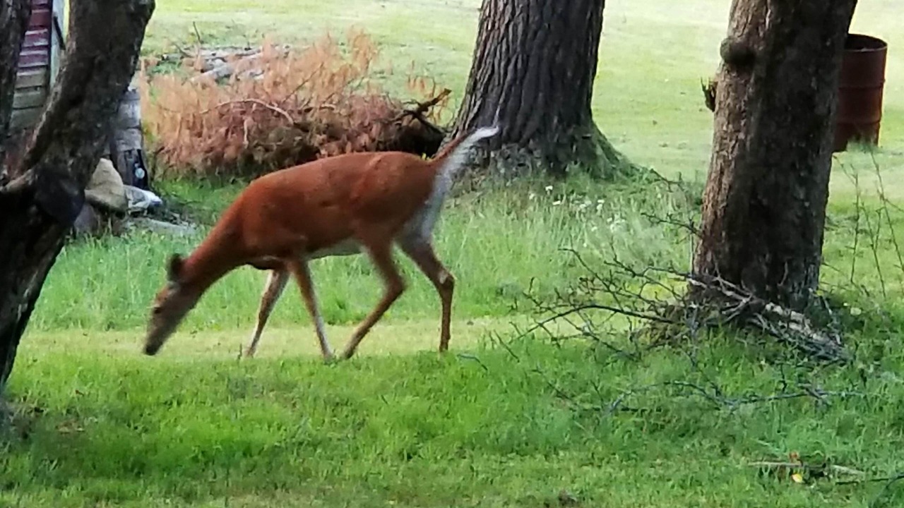 Photo of Outdoor in Highland Lake