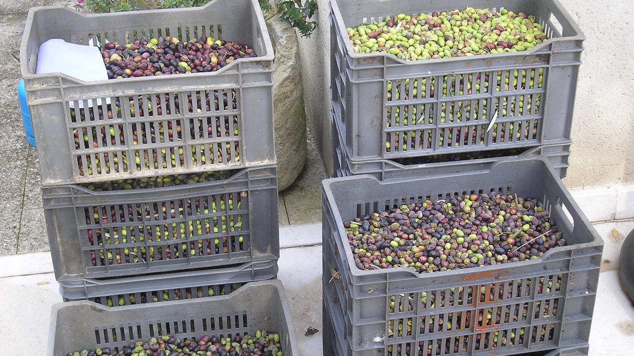 Photo of Outdoor in Saint-Etienne-du-Gres