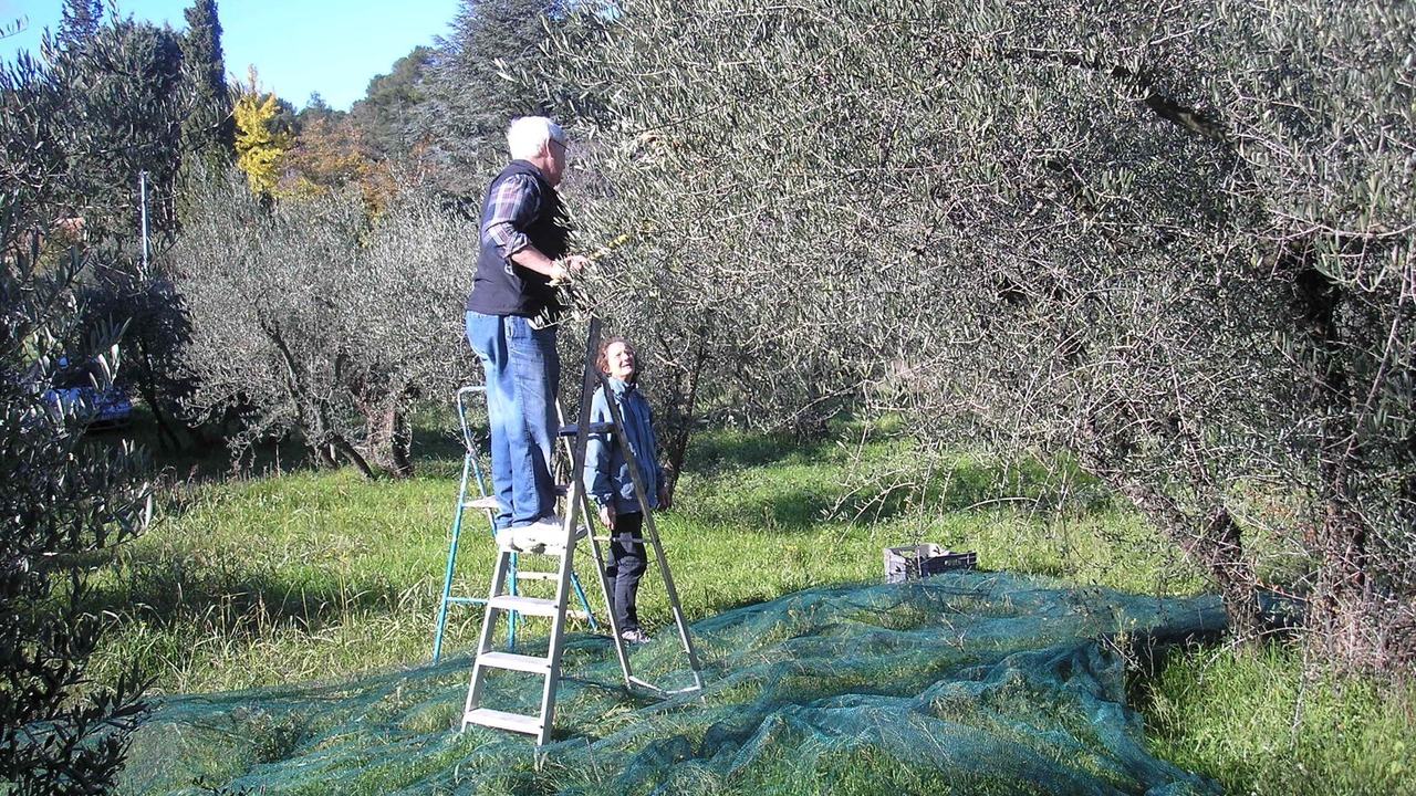 Photo of Others in Saint-Etienne-du-Gres