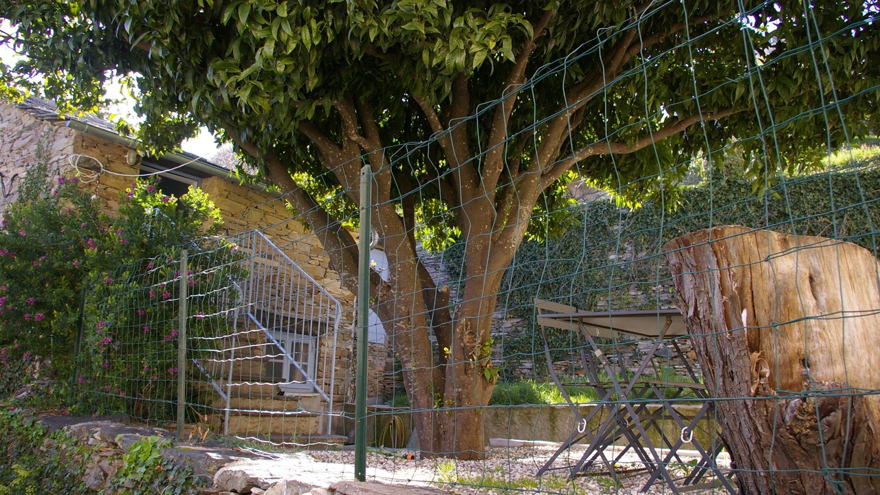 Photo of Outdoor in Pozzo