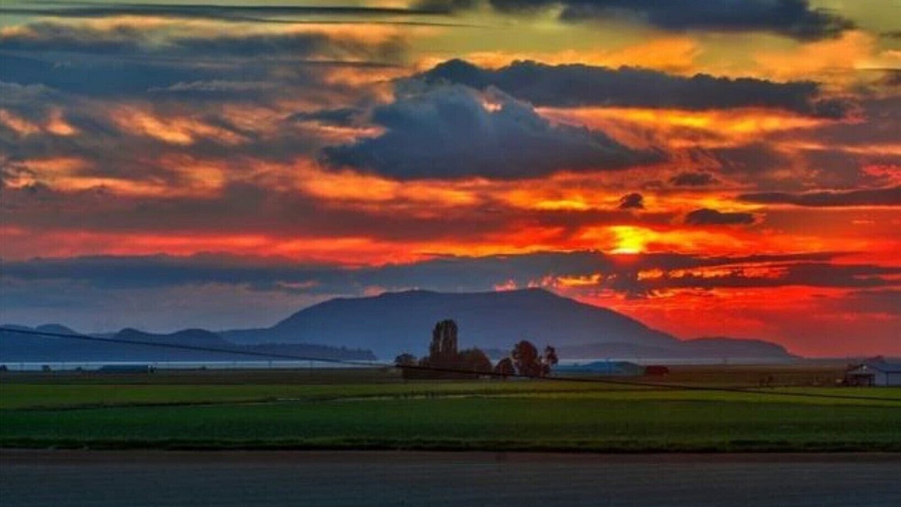 Photo of Others in Bow