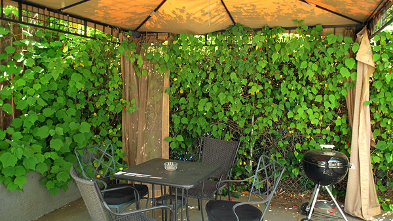 Photo of Outdoor in Hollywood