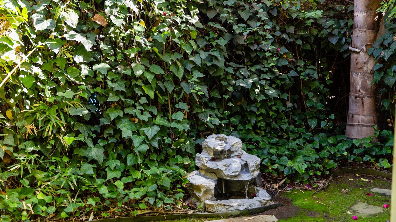 Photo of Outdoor in Hollywood