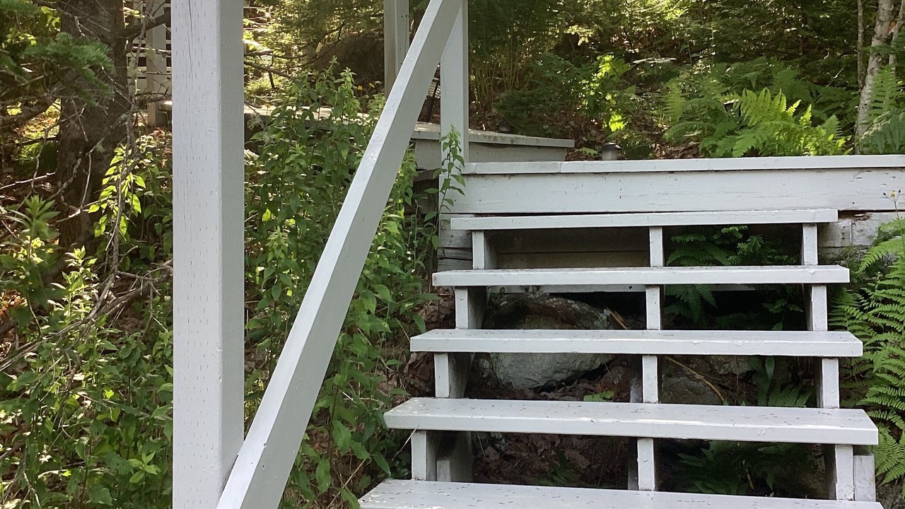 Photo of Outdoor in Prospect Bay