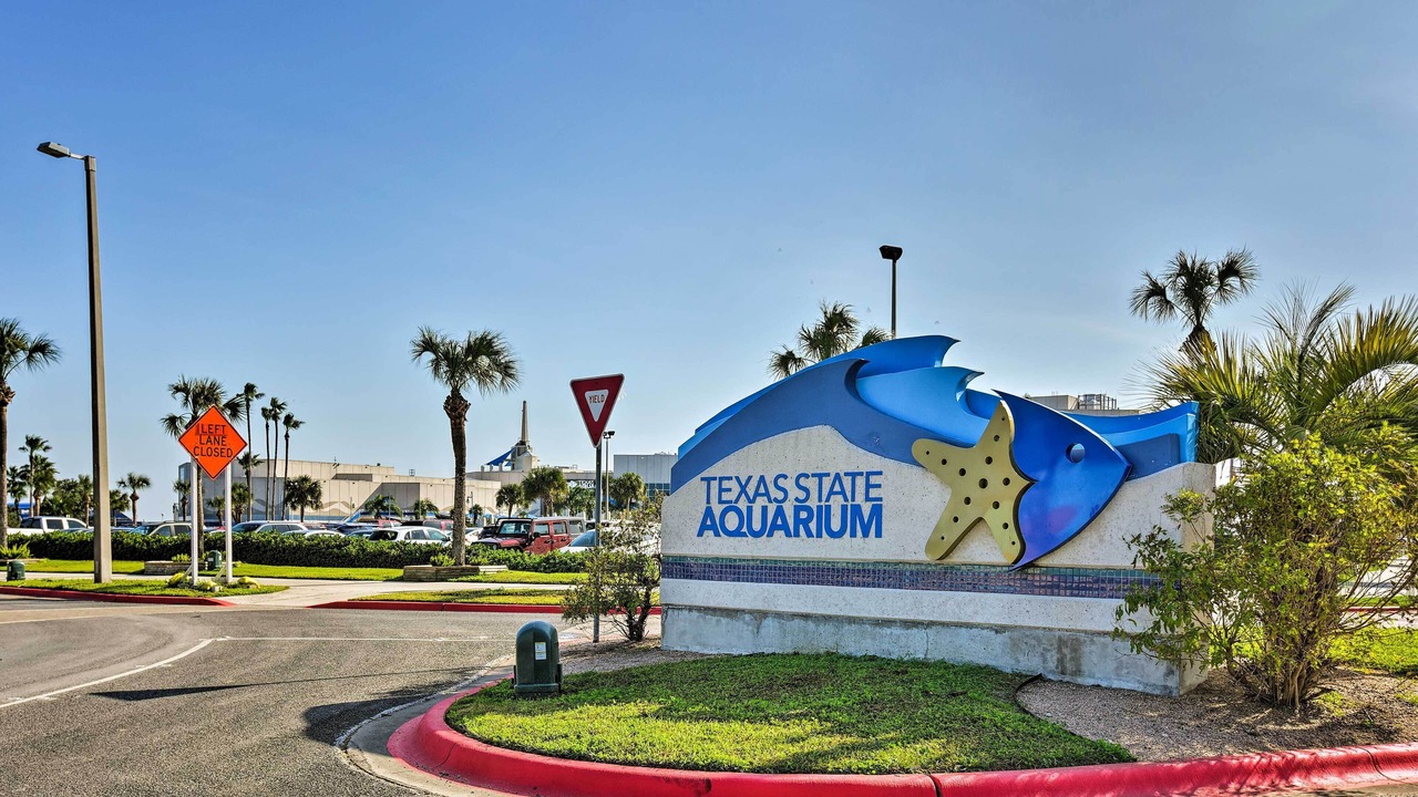 Photo of Outdoor in North Beach