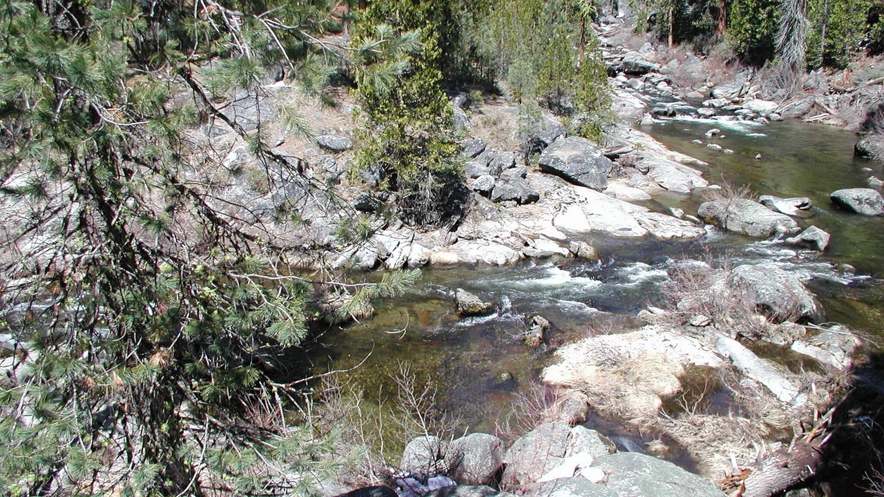 Photo of Outdoor in Strawberry