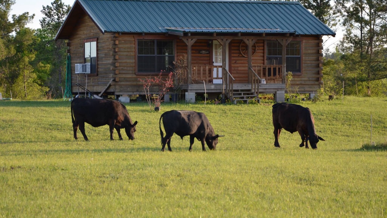 Photo of Others in Huntsville