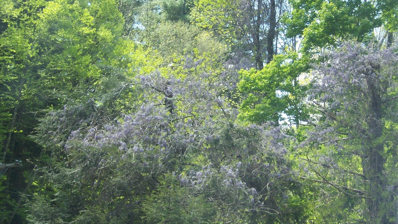 Photo of Outdoor in Big Indian