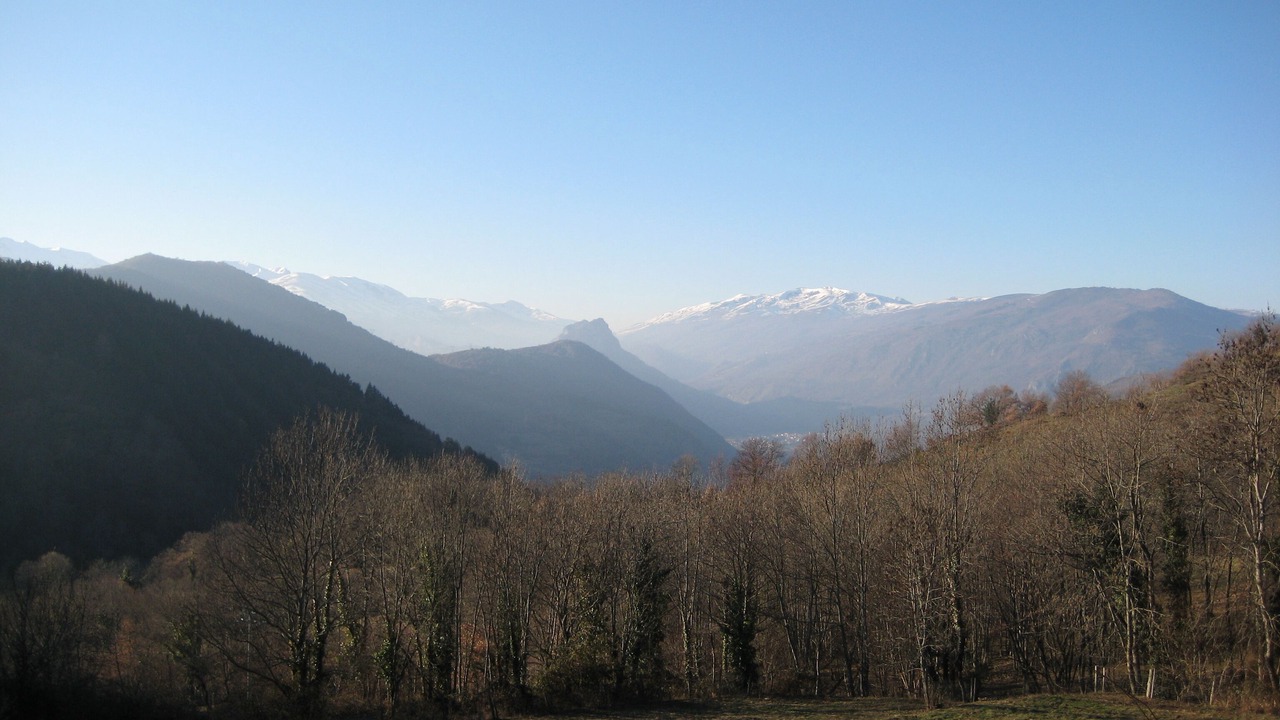 Photo of Others in Cazenave-Serres-et-Allens