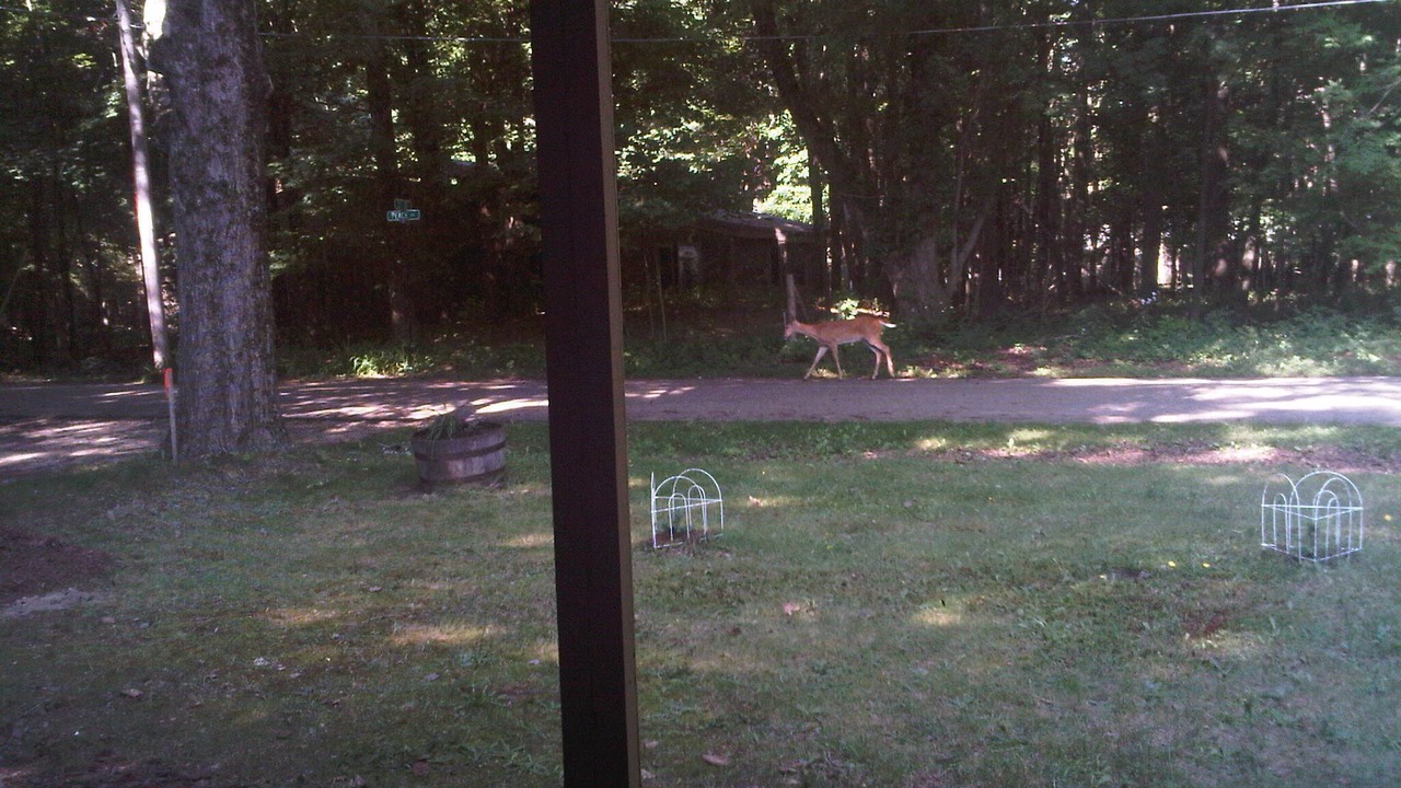 Photo of Others in Douglas