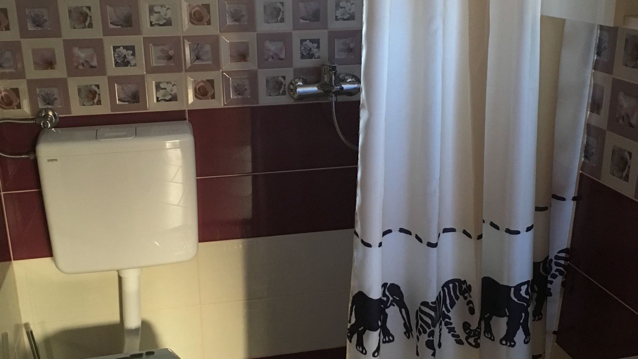 Photo of Bathroom in Pokrivenik