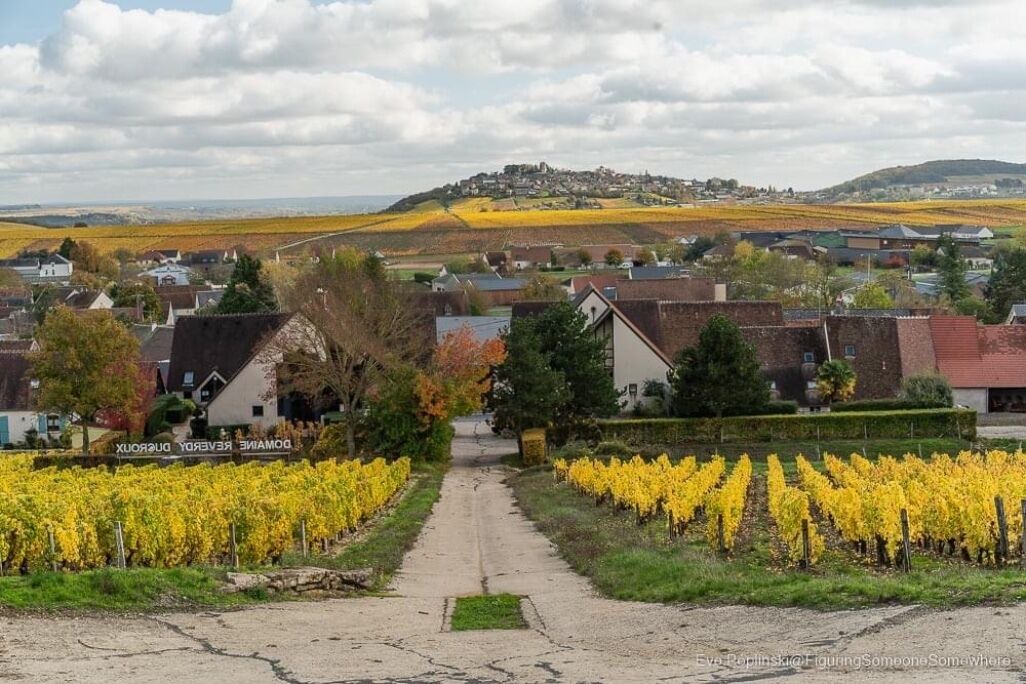 Photo of Outdoor in Sancerre