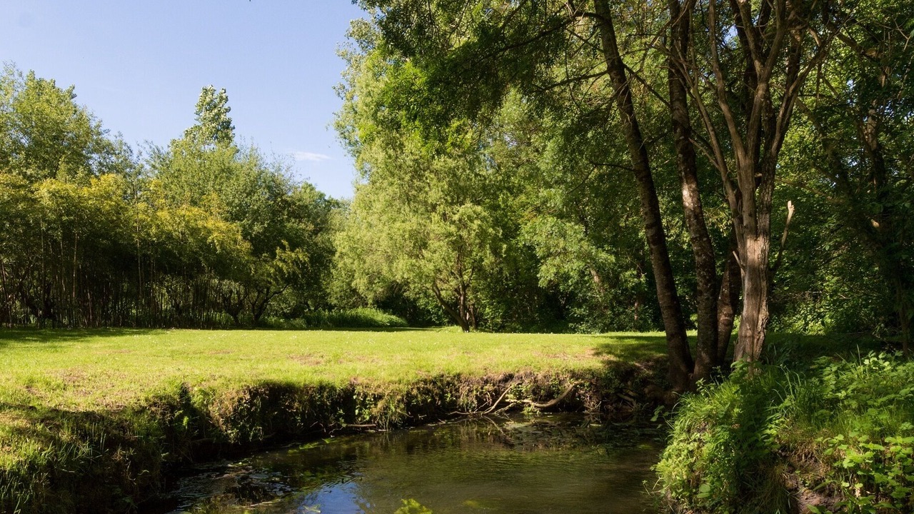 Photo of Others in Savigne-sous-le-Lude