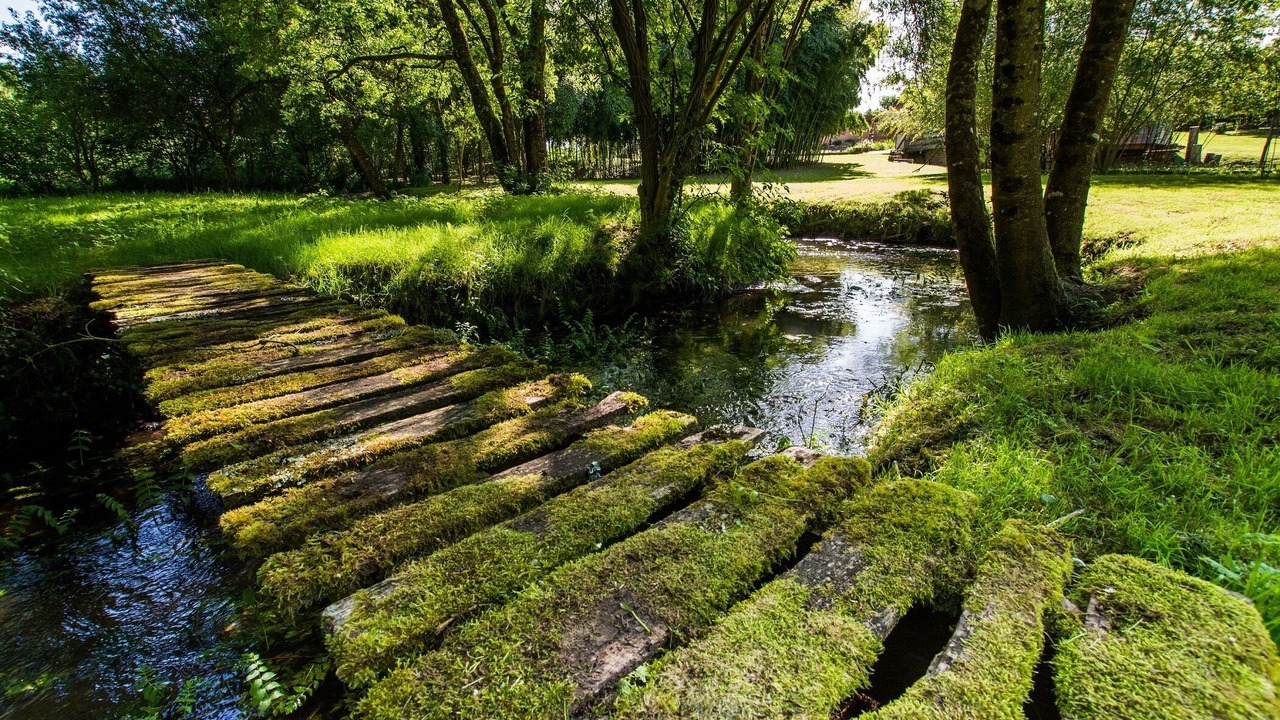Photo of Outdoor in Savigne-sous-le-Lude