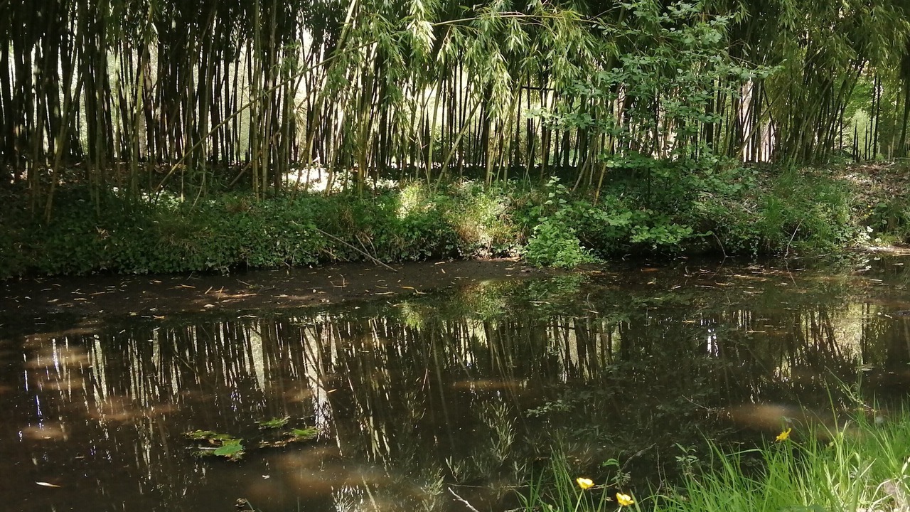 Photo of Others in Savigne-sous-le-Lude