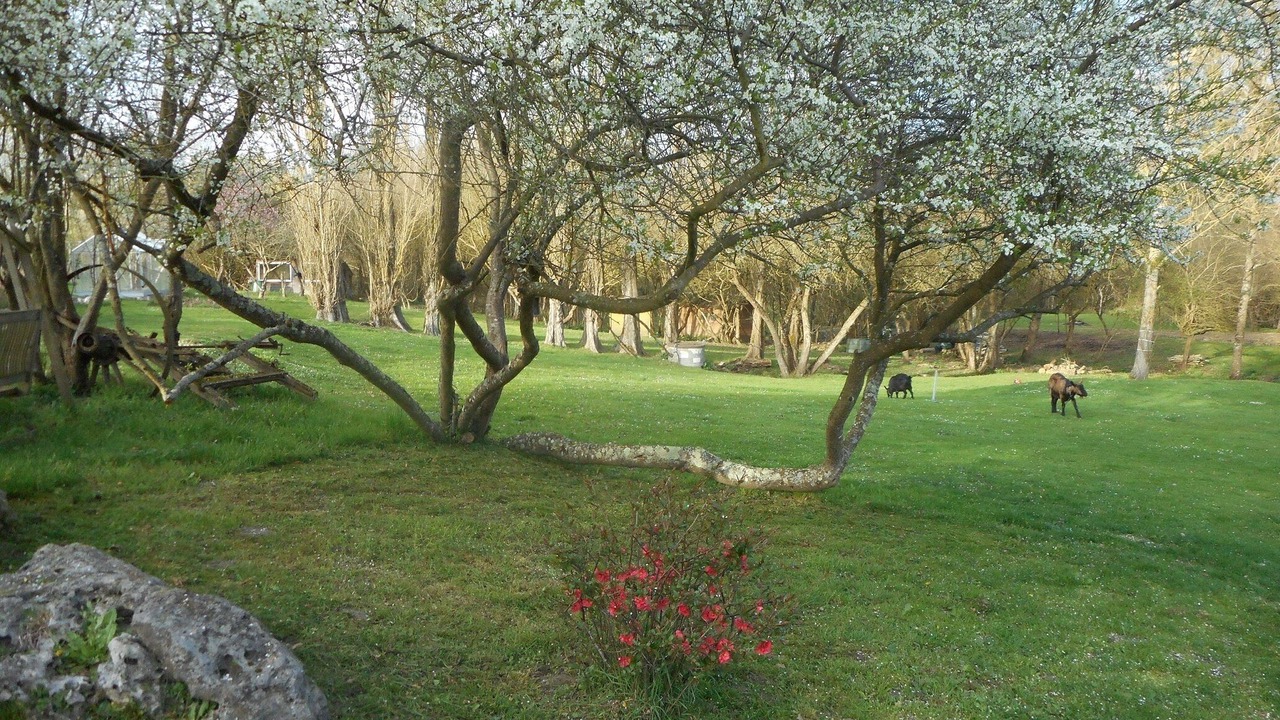 Photo of Outdoor in Savigne-sous-le-Lude