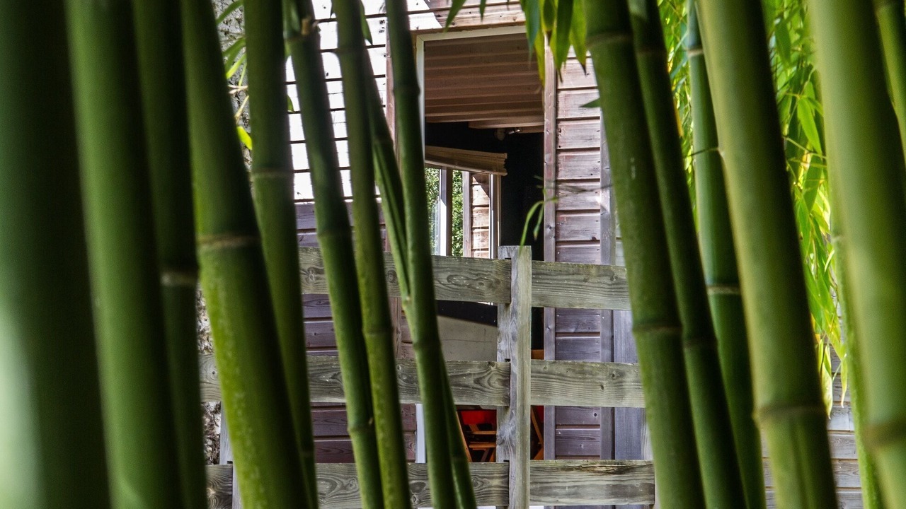 Photo of Outdoor in Savigne-sous-le-Lude