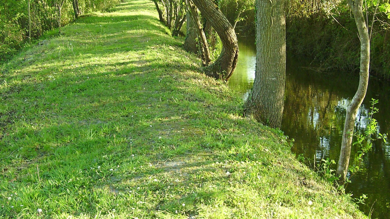 Photo of Outdoor in Savigne-sous-le-Lude